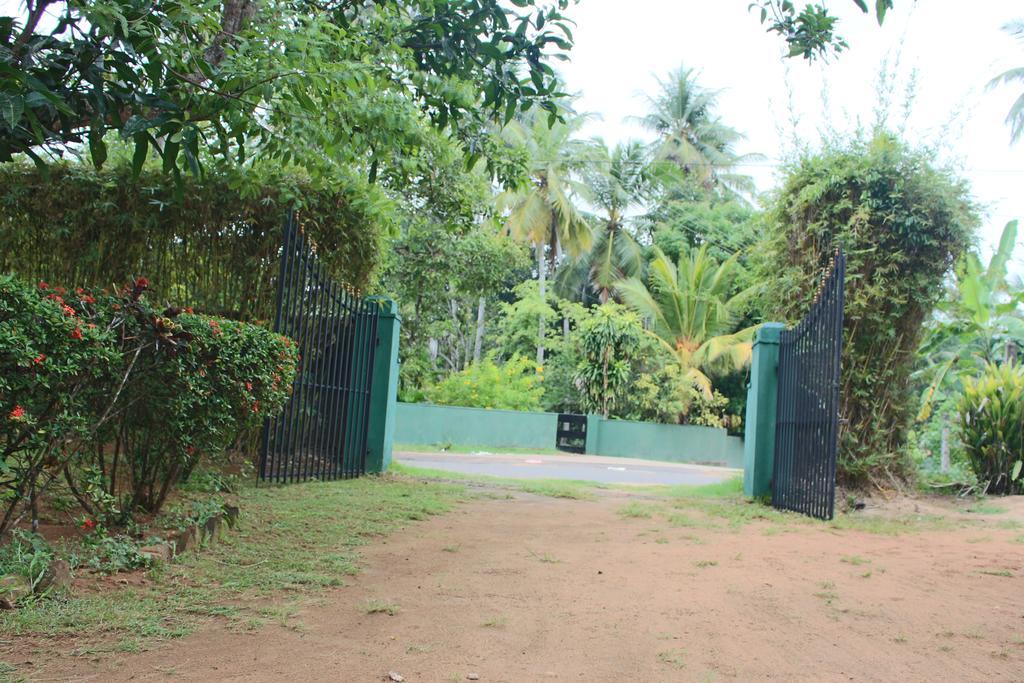 No.53 Apartment Katunayaka Luaran gambar